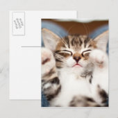 Kitten op mijn lab briefkaart (Voorkant / Achterkant)