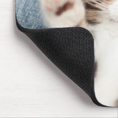 Kitten op mijn lab muismat (Hoek)