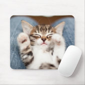 Kitten op mijn lab muismat (Met muis)