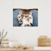 Kitten op mijn lab poster (Keuken)