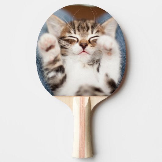 Kitten op mijn lab tafeltennisbatje (Voorkant)