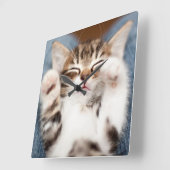Kitten op mijn lab vierkante klok (Hoek)