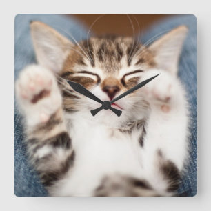 Kitten op mijn lab vierkante klok