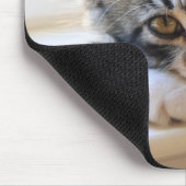 Kitten op Muismat voor Windows (Hoek)