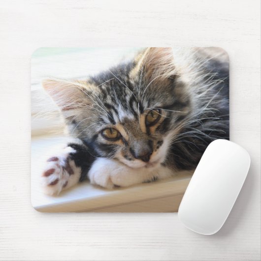 Kitten op Muismat voor Windows (Met muis)