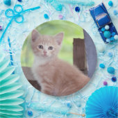 Kitten Papieren Bordje (Feest)