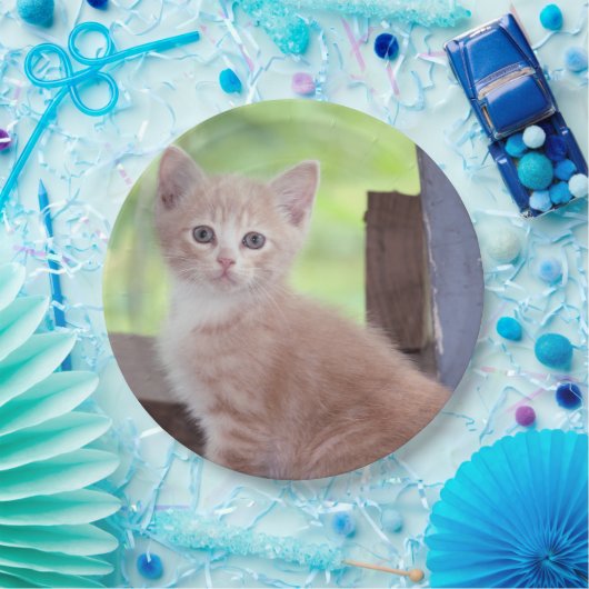 Kitten Papieren Bordje (Feest)