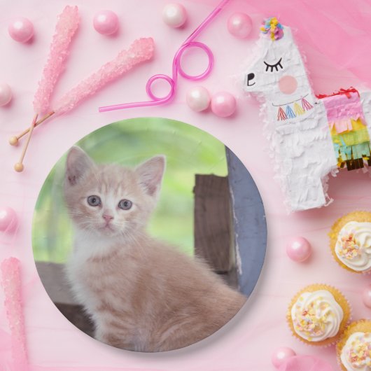 Kitten Papieren Bordje (Feest)