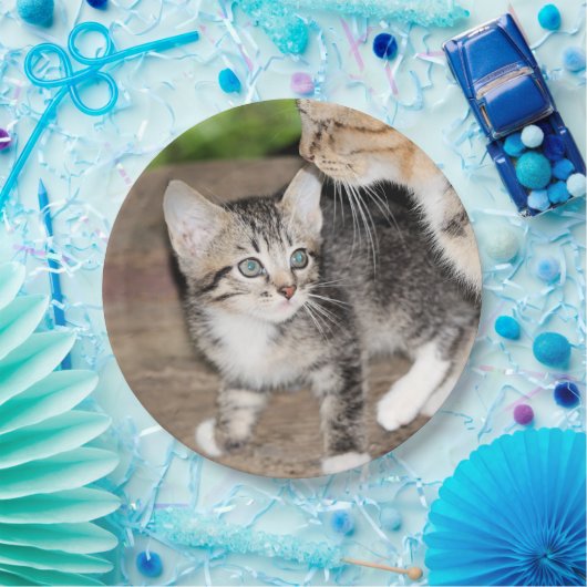 Kitten Papieren Bordje (Feest)