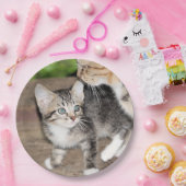 Kitten Papieren Bordje (Feest)