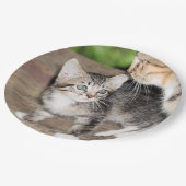 Kitten Papieren Bordje (Gekanteld)