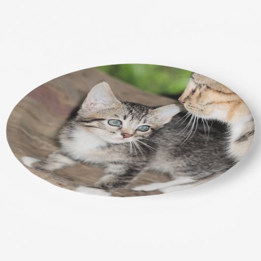 Kitten Papieren Bordje (Gekanteld)