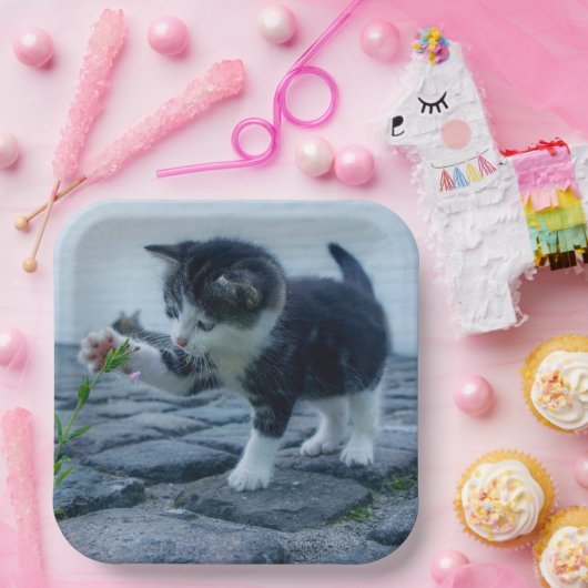Kitten Papieren Bordje (Feest)