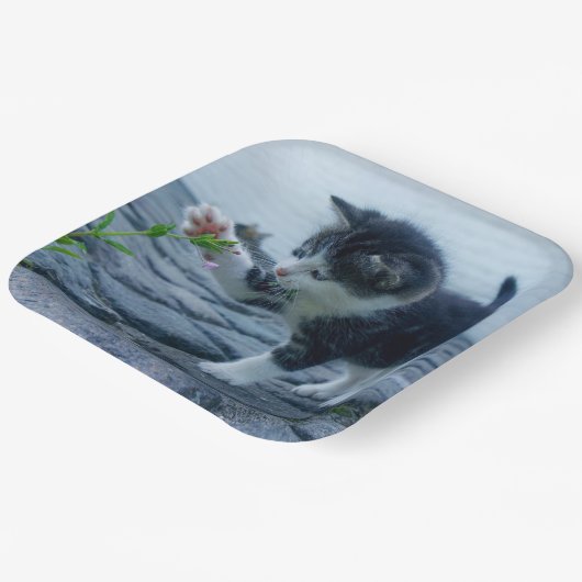 Kitten Papieren Bordje (Gebogen)