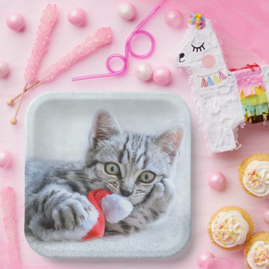 Kitten Papieren Bordje (Feest)