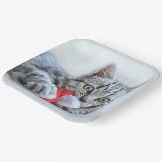 Kitten Papieren Bordje (Gebogen)