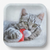 Kitten Papieren Bordje (Voorkant)