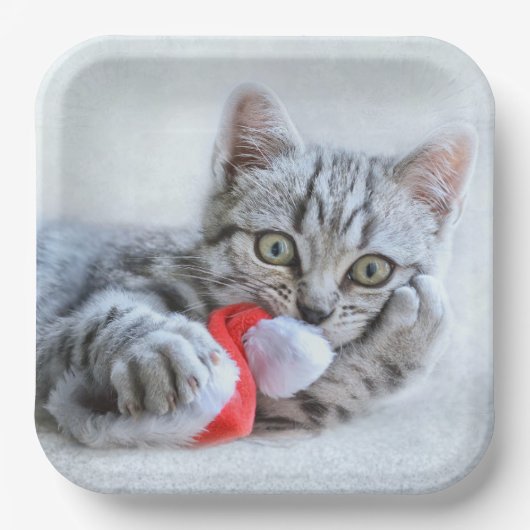 Kitten Papieren Bordje (Voorkant)