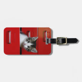 Kitten Peking Bagagelabel (Voorkant horizontaal)