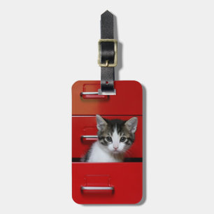 Kitten Peking Bagagelabel