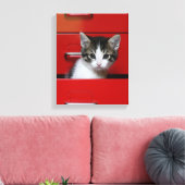 Kitten Peking Canvas Afdruk (Insitu (Woonkamer))