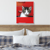 Kitten Peking Canvas Afdruk (Insitu (Slaapkamer))
