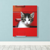 Kitten Peking Canvas Afdruk (Insitu (Houten vloer))