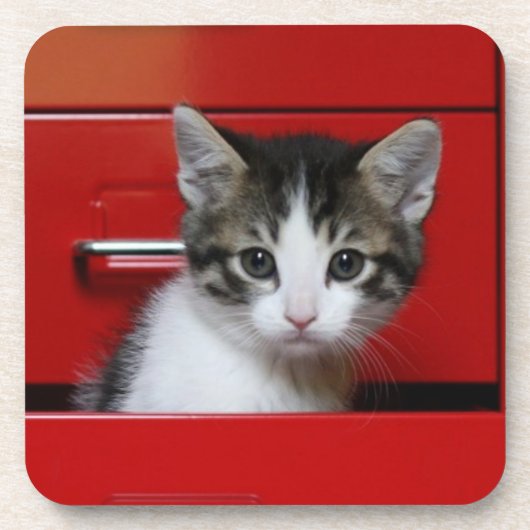Kitten Peking Drankjes Onderzetter (Voorkant)