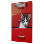 Kitten Peking Klembord (Links)