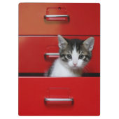 Kitten Peking Klembord (Achterkant)