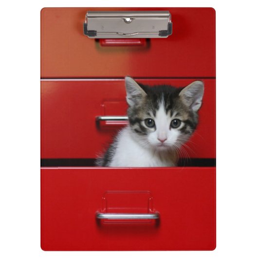 Kitten Peking Klembord (Voorkant)