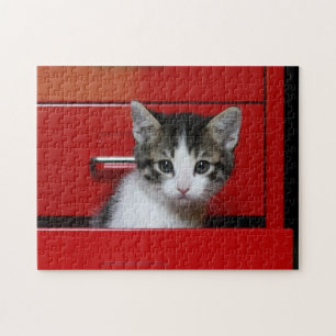 Kitten Peking Legpuzzel