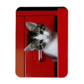 Kitten Peking Magneet (Verticaal)