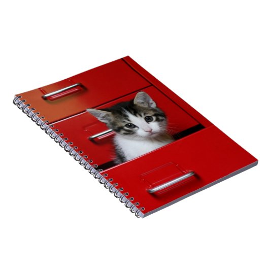 Kitten Peking Notitieboek (Rechterzijde)