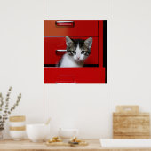Kitten Peking Poster (Keuken)