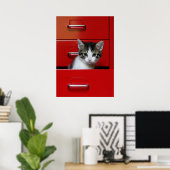 Kitten Peking Poster (Thuiskantoor)