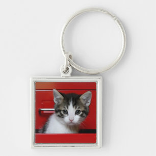 Kitten Peking Sleutelhanger