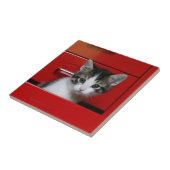 Kitten Peking Tegeltje (Zijkant)