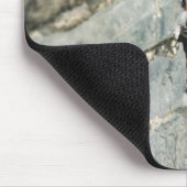 Kitten Peking uit Wall, Yangshuo, Guangxi Muismat (Hoek)