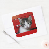Kitten Peking Vierkante Sticker (Envelop)