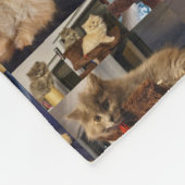 Kitten Photo Collage Fleece Deken (Hoek)