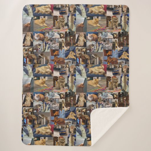 Kitten Photo Collage, Grote Sherpa Blanket Sherpa Deken (Voorkant)