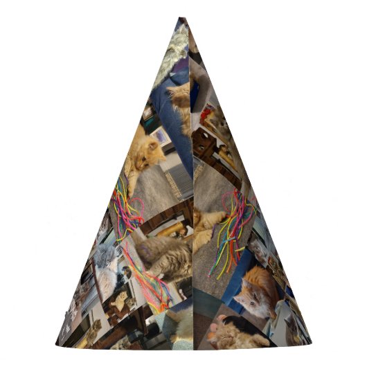 Kitten Photo Collage, partijgebonden Petten Feesthoedjes (Achterkant)