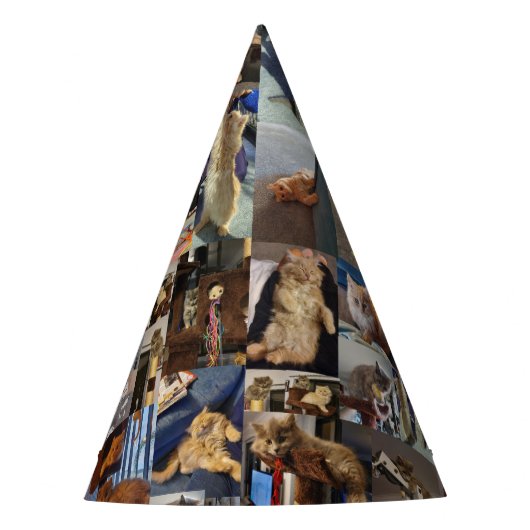 Kitten Photo Collage, partijgebonden Petten Feesthoedjes (Voorkant)