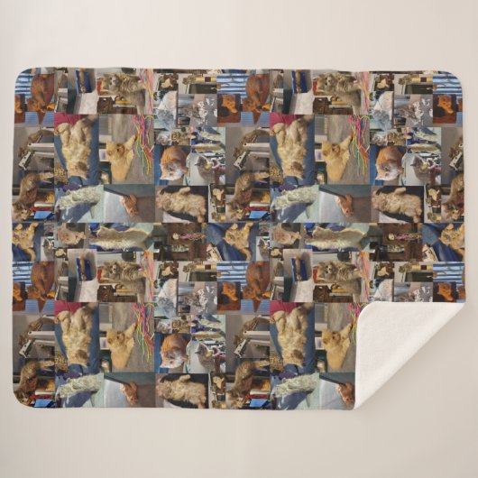 Kitten Photo Collage Sherpa Deken (Voorkant (horizontaal))