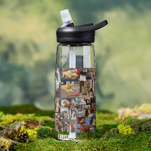 Kitten Photo Collage Waterfles (Buiten)