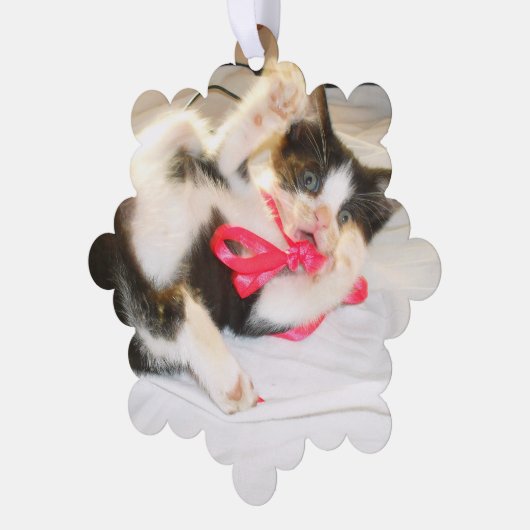 Kitten Photo Text Ornament, Snowflake, Customize,  Ornament Kaart (Links)