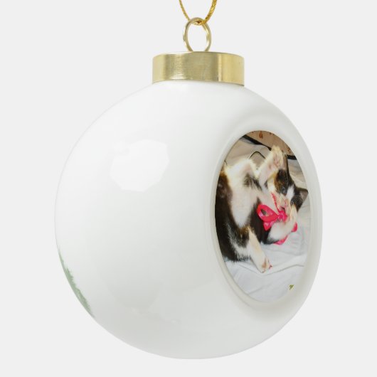 Kitten Photo Text , Snowflake, Customize,  Keramische Bal Ornament (Links)
