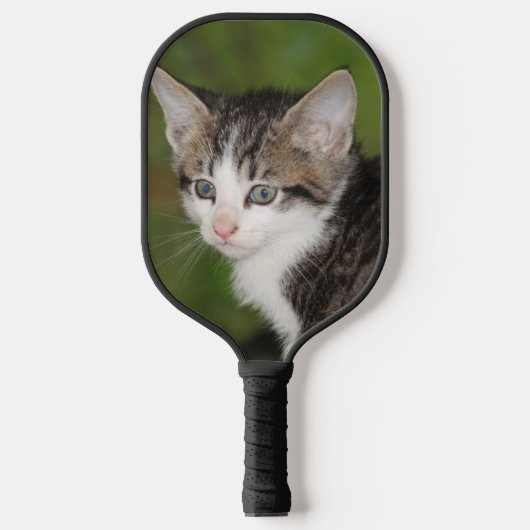 Kitten Pickleball Paddle (Voorkant)