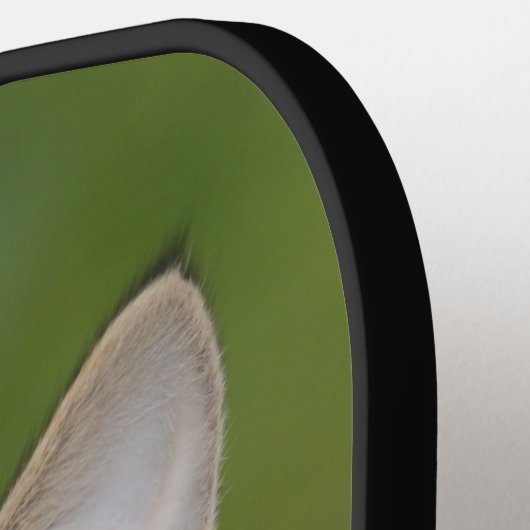 Kitten Pickleball Paddle (Links Detail)